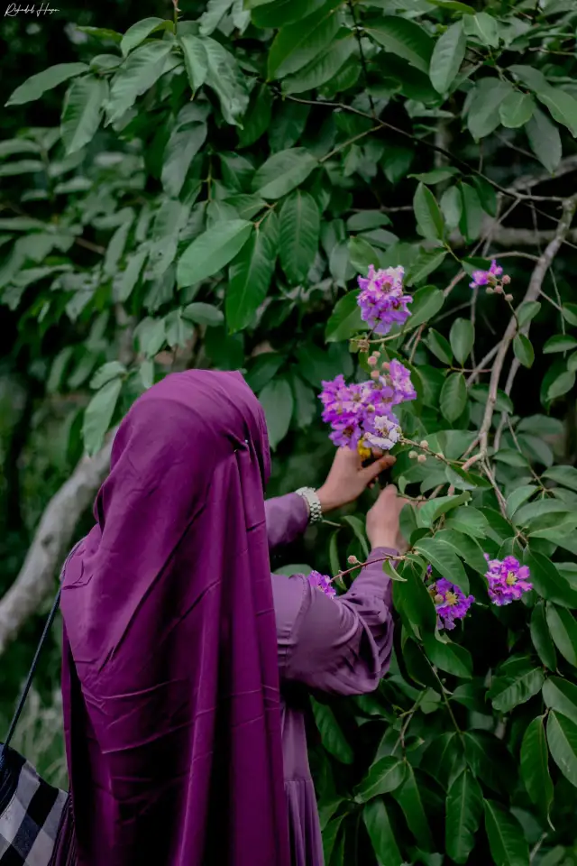 خمار «لافندر» طويل