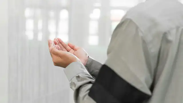 زنود رمادية بقبة ضيقة
